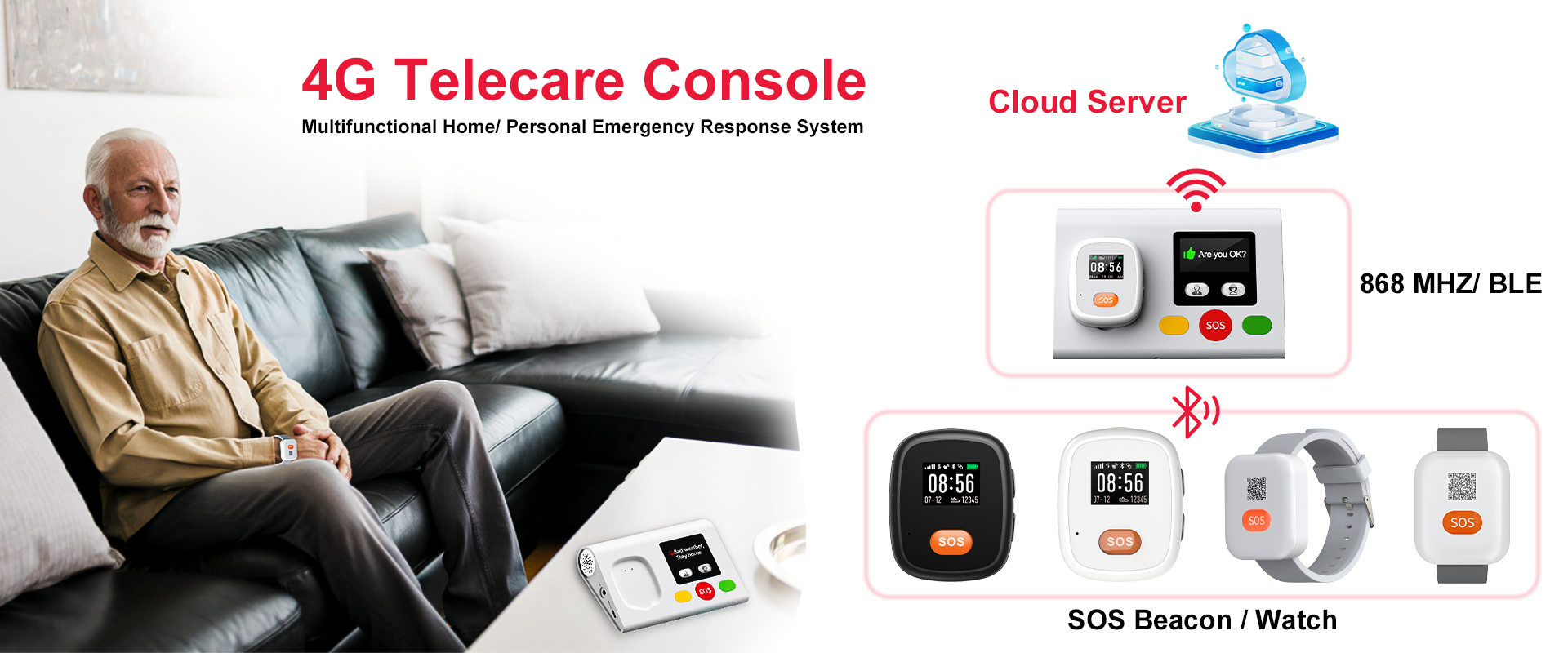 Telecare System